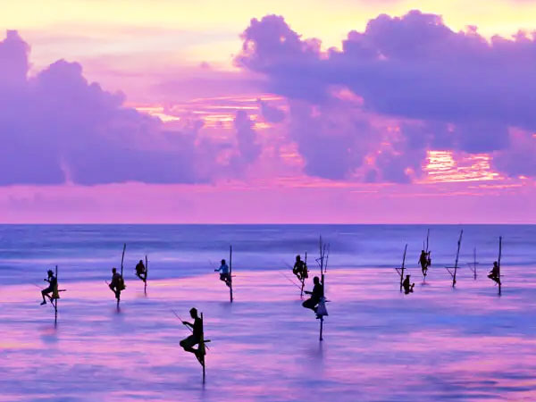 Galle