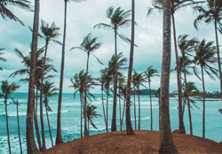 Surf & Yoga mirissa
