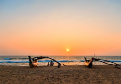 surf and yoga