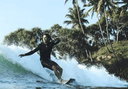 Pinnawala Elephant Bay